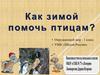 Как зимой помочь птицам