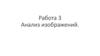 Работа 3. Анализ изображений