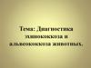 Диагностика эхинококкоза и альвеококкоза животных