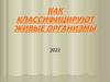 Как классифицируют живые организмы