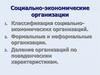 Социально-экономические организации. Классификация
