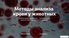 Методы анализа крови у животных