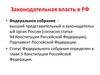 Законодательная власть в РФ