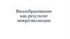 Видообразование как результат микроэволюции