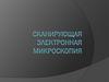 Сканирующая электронная микроскопия