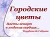 Городские цветы