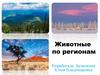 Животные по регионам