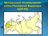 Центральный экономический район Российской Федерации (ЦЭР РФ)