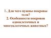 Особенности покровов одноклеточных и многоклеточных животных. Опорно - двигательная система  (7 класс)