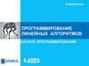 Программирование линейных алгоритмов. Начала программирования. Информатика. 9 класс