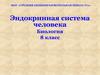 Эндокринная система человека. Биология. 8 класс