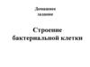 Строение бактериальной клетки