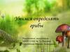Учимся определять грибы