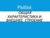Общая характеристика и внешнее строение рыб