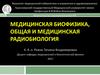 Радиочувствительность тканей, органов, организма. Радиационные синдромы