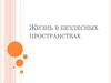 Жизнь в безлесных пространствах