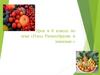 Плод. Разнообразие и значение. Урок в 6 классе