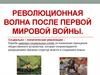 Революционная волна после Первой мировой войны