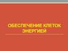 Обеспечение клеток энергией