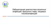 Лабораторная диагностика кишечных инфекций: брюшного тифа, пищевых токсикоинфекций