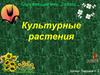 Культурные растения. Окружающий мир. 3 класс