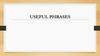 Useful phrases