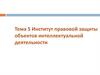 Институт правовой защиты объектов интеллектуальной деятельности