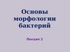 Основы морфологии бактерий  (лекция 2)