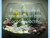 Растительный организм и его особенности