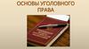 Основы уголовного права