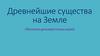 Древнейшие существа на Земле. Обитатели дальневосточных морей