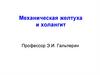 Механическая желтуха и холангит