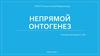 Непрямой онтогенез