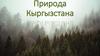 Природа Кыргызстана