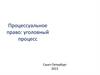 Процессуальное право: уголовный процесс