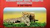 4 октября - Международный день защиты животных
