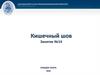 Кишечный шов. Занятие №14