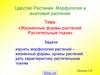 Царство Растения. Морфология и анатомия растений