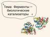 Ферменты — биологические катализаторы
