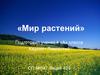 Мир растений