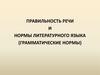 Правильность речи и нормы литературного языка (грамматические нормы)