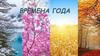 Времена года