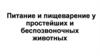 Питание и пищеварение у простейших и беспозвоночных животных
