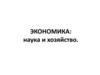 Экономика: наука и хозяйство