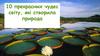 10 прекрасних чудес світу, які створила природа