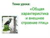 Общая характеристика и внешнее строение птиц