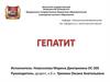 Гепатит - воспалительные заболевания печени различной, в том числе и вирусной этиологии