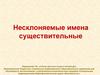 Несклоняемые имена существительные