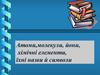 Атоми, молекули, йони, хімічні елементи, їхні назви й символи. Урок 10