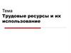 Трудовые ресурсы и их использование